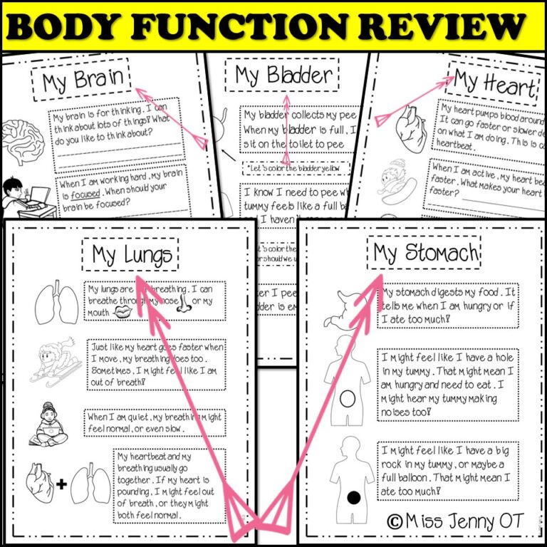 Self Regulation Worksheets And Check In Chart Bundle Miss Jenny Ot