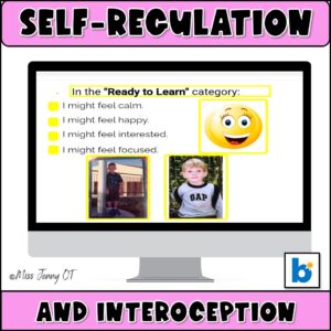 Self Regulation Interoception Boom cards